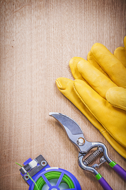 Protective gloves and garden pruner  - Fotografie, Obrázek