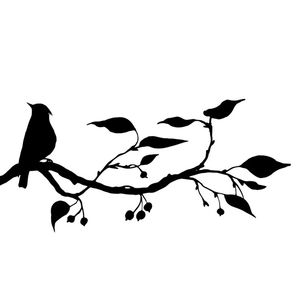 pássaro em silhuetas de árvore
 - Vetor, Imagem