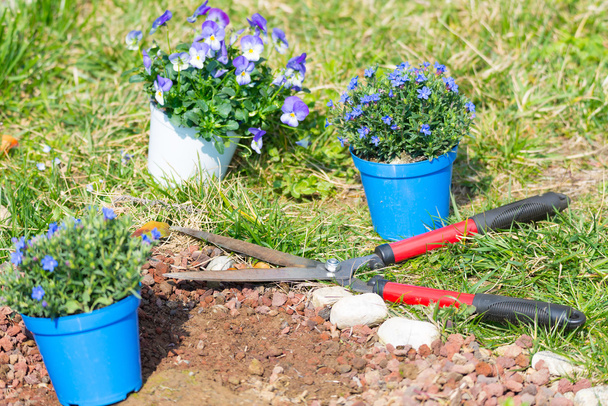 Frühling zu Hause Gartenarbeit, Trimmen und Pflanzen von Blumen - Foto, Bild