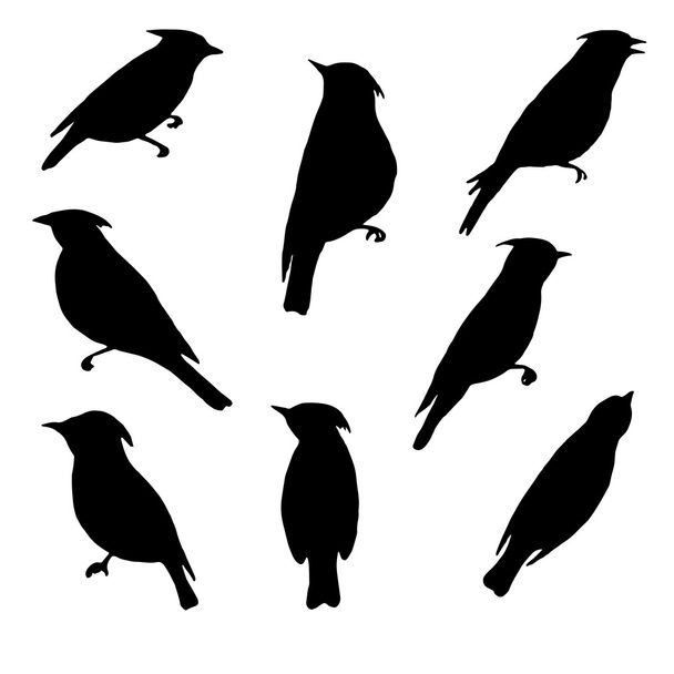 vector set of birds silhouettes - Vector, Image