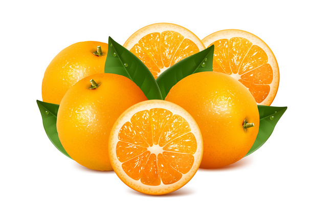 Oranges - Vector, Image