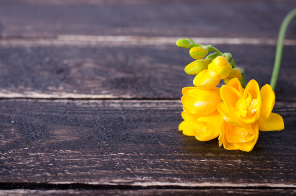 Flores frescas de freesia amarilla sobre fondo de madera. Espacio libre para tu texto
. - Foto, imagen