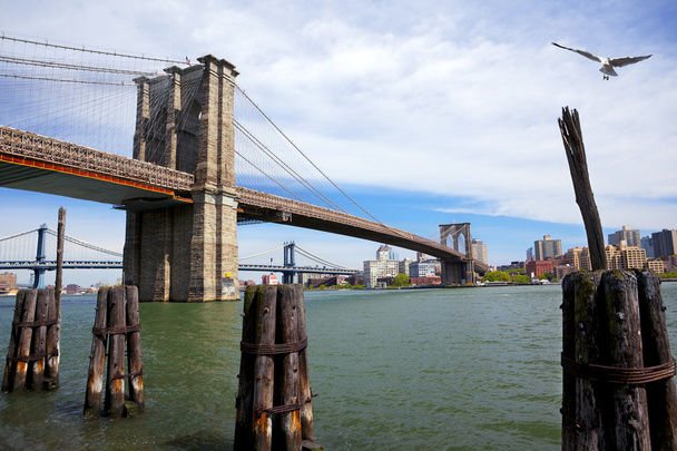ブルックリンとマンハッタン橋 - 写真・画像