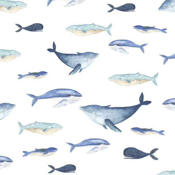 Blue whale and dolphin pattern   - Foto, Imagen