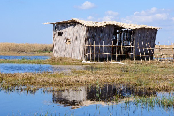Chudák třtiny příbytku na břehu jezera Vladimir - Fotografie, Obrázek