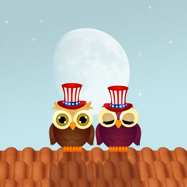 owl with hat for Independence day - Zdjęcie, obraz