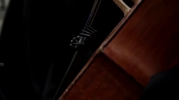 Játszik contrabass közelről - Felvétel, videó