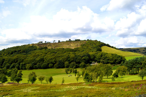Campo de golf en Glossop, Derbyshire, Inglaterra
 - Foto, Imagen