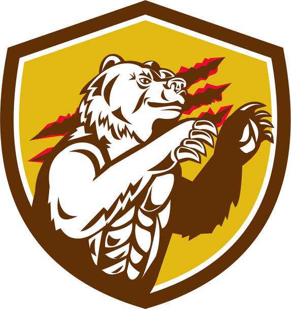 California Grizzly Bear Smirking Claw Marks Crest Retro - Vector, Image