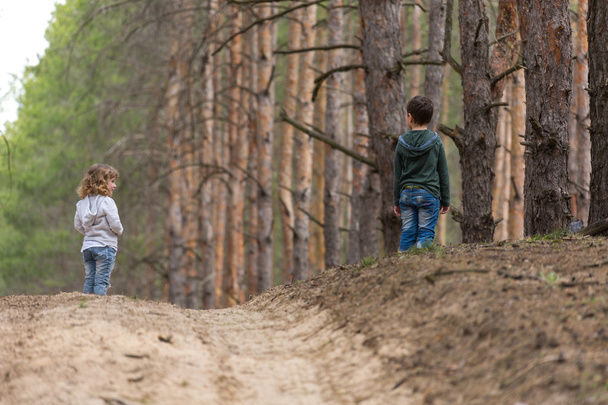Children walking together in a pine forest - Φωτογραφία, εικόνα