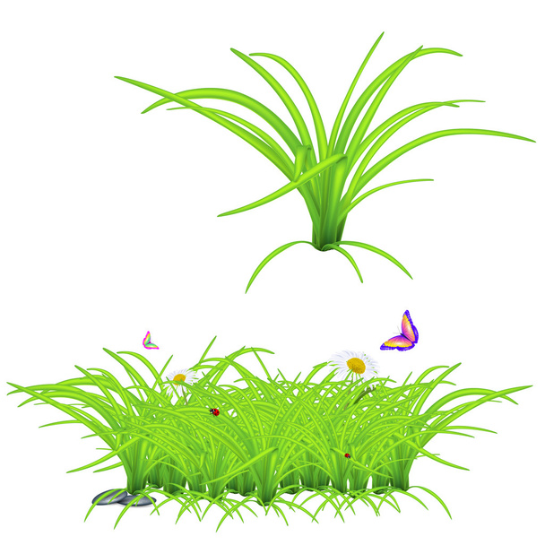 grass, ladybug, butterfly, stone, high quality vector - Vettoriali, immagini