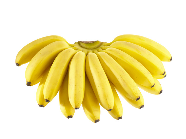 Bunch of Bananas - Fotografie, Obrázek