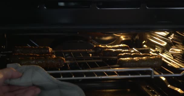 Cooking meat dish in the oven - Footage, Video