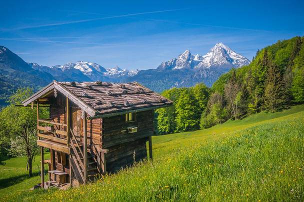 伝統的な山荘とアルプスの牧歌的な春風景 - 写真・画像