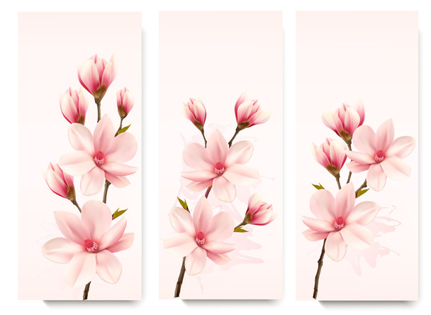 Állítsa be a természet virág, magnolia bannerek. Vektor. - Vektor, kép