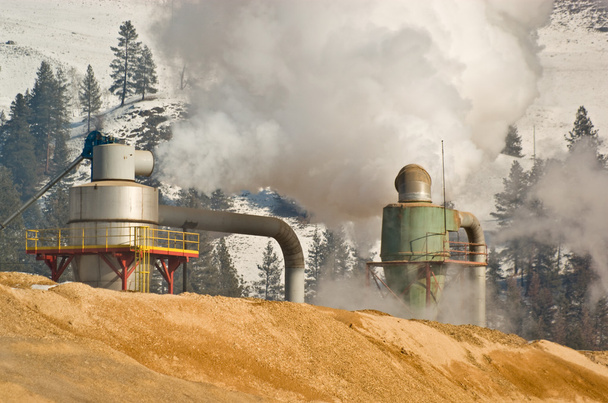 Pulp mill pollution - Photo, Image