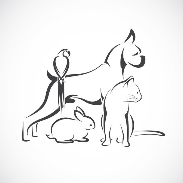 Vector group of pets - Dog, cat, bird, rabbit, isolated on white - Vector, Image