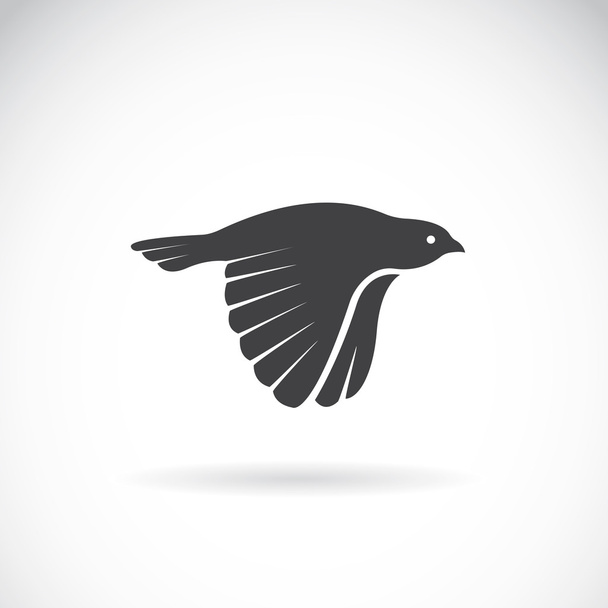 Image vectorielle d'une icône d'oiseau sur fond blanc. Pinsons - Vecteur, image