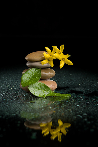balanceo de piedras zen en negro con flor amarilla
 - Foto, imagen