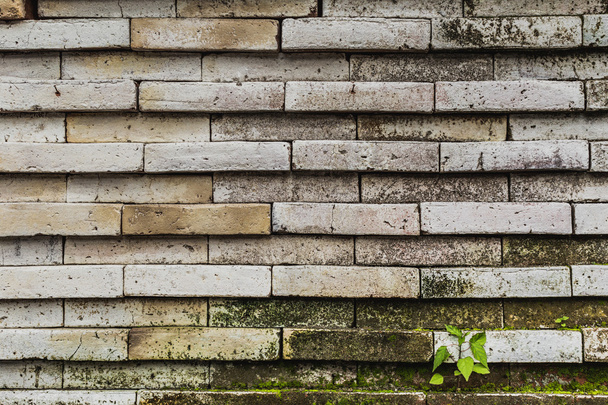 Gradient Beige brick wall. Texture - Foto, imagen