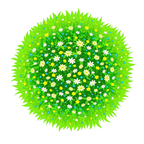 Esfera isolada de uma grama verde e flores no branco
 - Vetor, Imagem