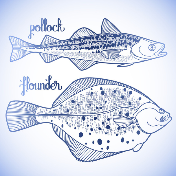 Graphic fish collection - Vector, Image