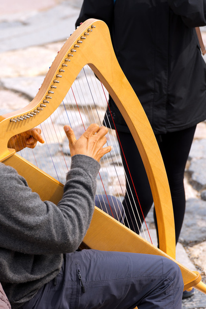 Уличный музыкант, играющий на классической арфе
 - Фото, изображение