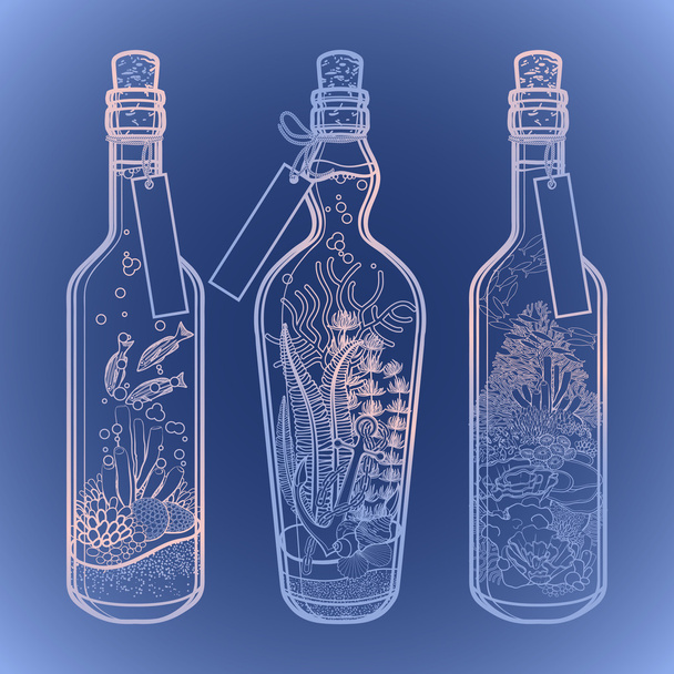 Ocean flora and fauna in bottles.   - Vector, Image