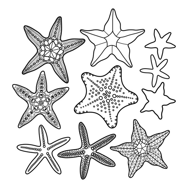 Graphic starfish collection - Vector, Image