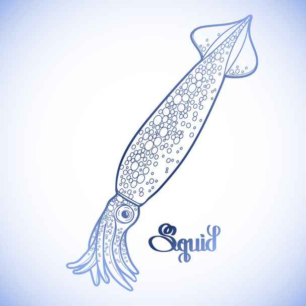 Grafische squid in lijn Art stijl - Vector, afbeelding