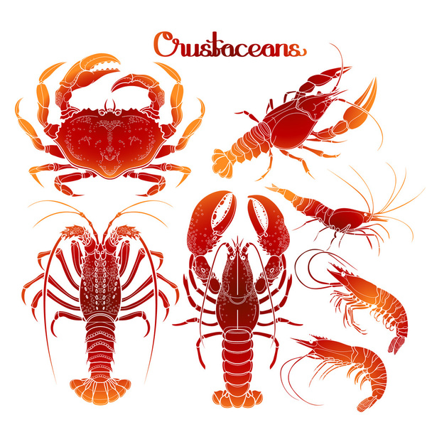 Graphic crustaceans collection - Vector, Image