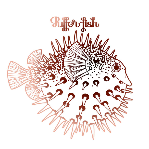 Graphic puffer fish - Vector, Image
