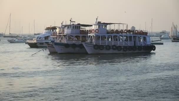 Turisztikai és fisher hajók a kikötő - Felvétel, videó
