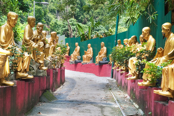 1000 Buddhů chrám - Fotografie, Obrázek
