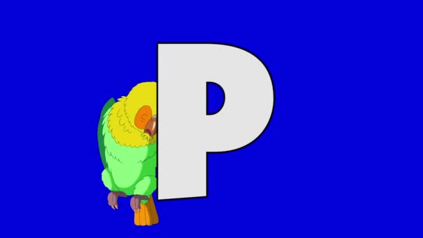 Litery P i papuga (tło) - Materiał filmowy, wideo