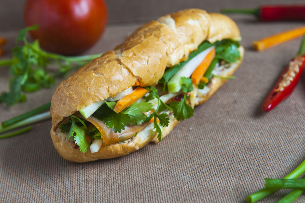 Vietnamees beroemde sandwich - Foto, afbeelding
