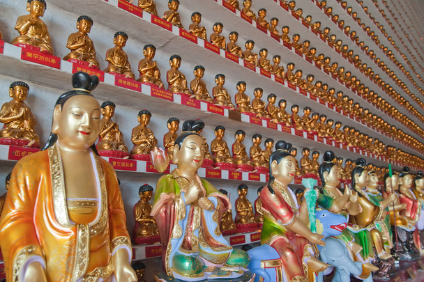 kymmenentuhatta buddhaa luostari - Valokuva, kuva