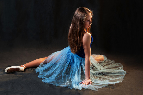 Young romantic ballerina posing - Fotografie, Obrázek