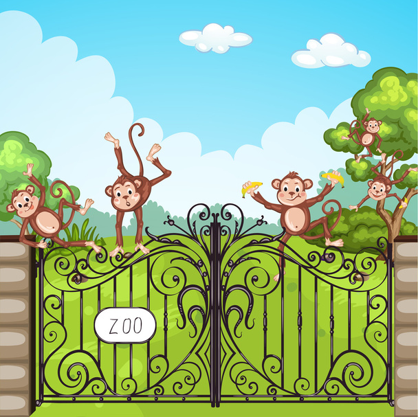 Illustration of monkeys in zoo  - Vector, Image