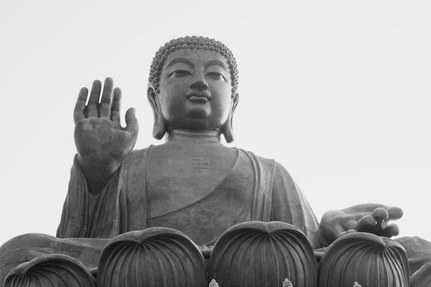 velký buddha - Fotografie, Obrázek