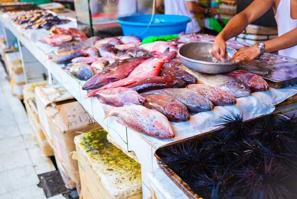 fish for sale at fish market - Photo, Image