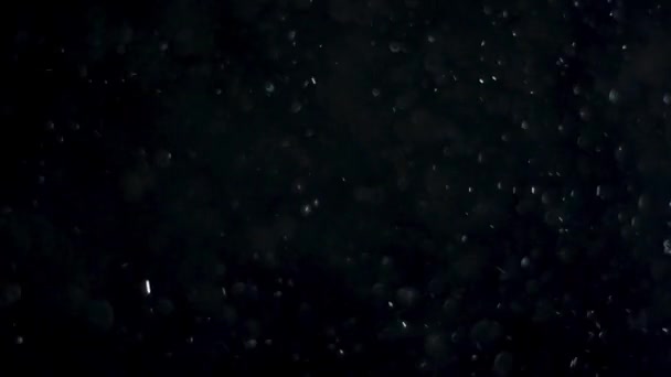 Természetes lebegő por részecskék háttér - Felvétel, videó