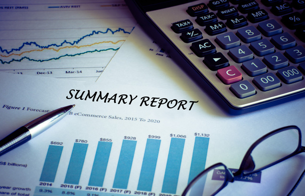 Financial accounting summary report graphs analysis - Photo, Image