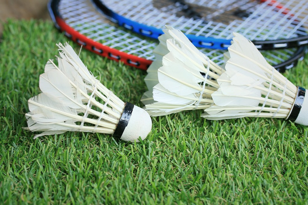 Opeřené s badminton raketa - Fotografie, Obrázek