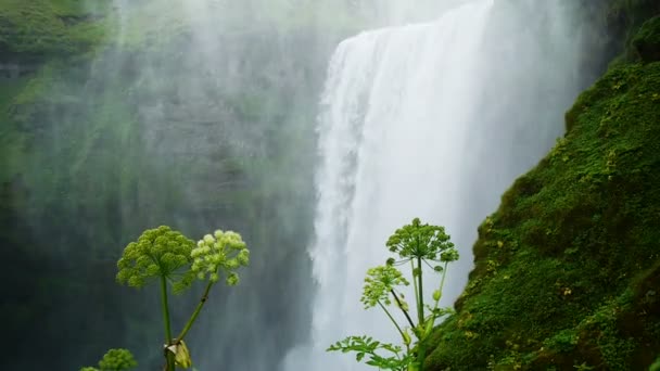 Skogarfoss vodopád na jihu Islandu. - Záběry, video