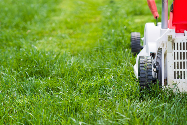 Lawn mower cutting green grass in garden. - Photo, Image