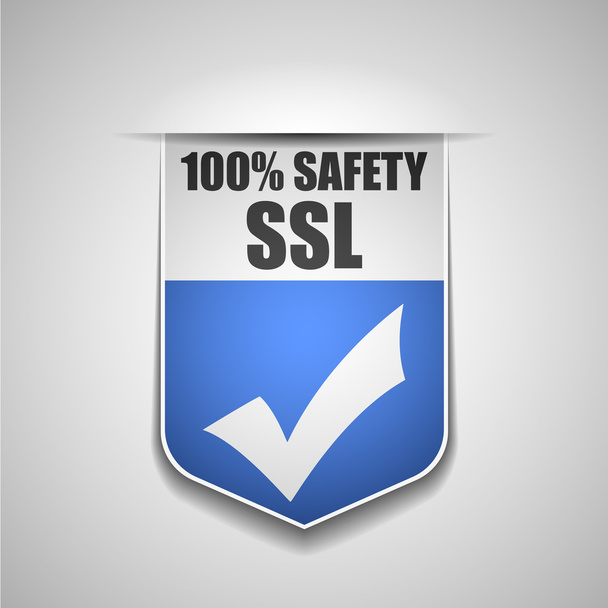 SSL védelem pajzs - Vektor, kép