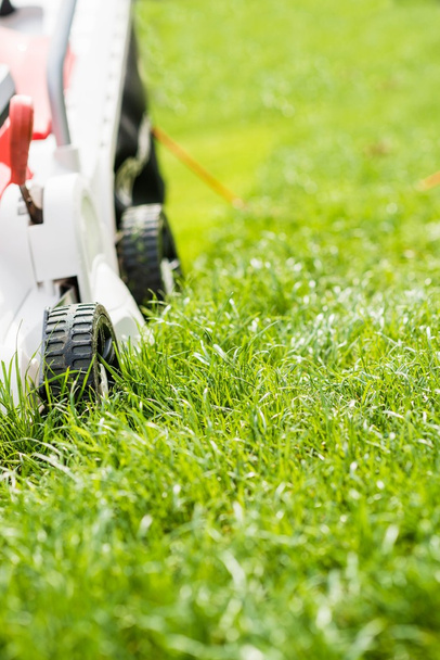 Lawn mower cutting green grass in garden. - Photo, Image