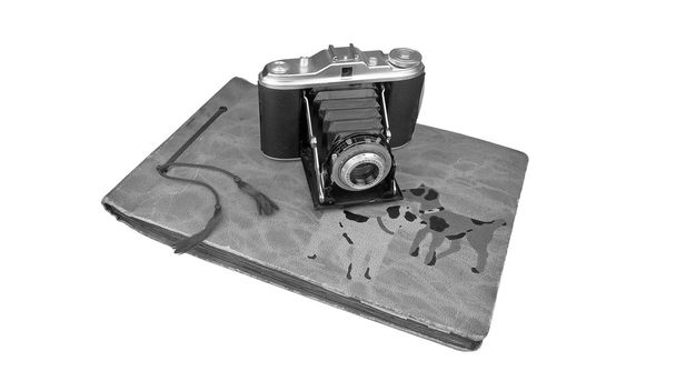 ノスタルジックな古いカメラ - 写真・画像