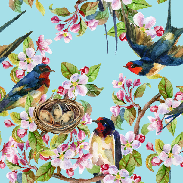 Apple blossom and swallows. - Fotoğraf, Görsel